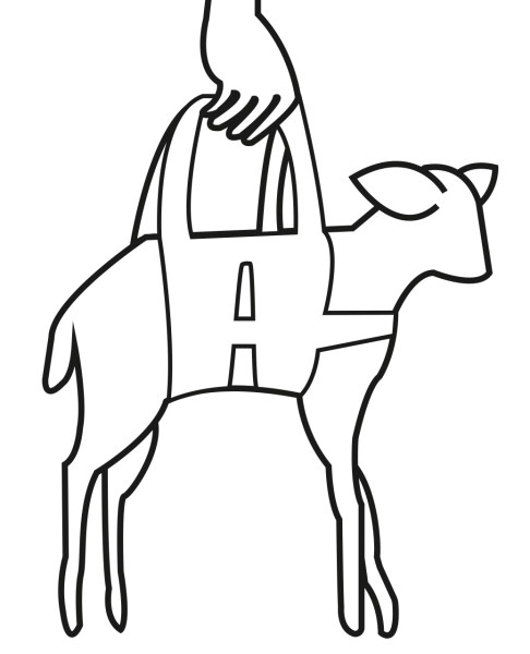ARNÊS DE PESAGEM PARA BORREGOS 2
